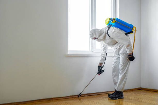 Best Organic or Eco-Friendly Pest Control  in Homer, MI